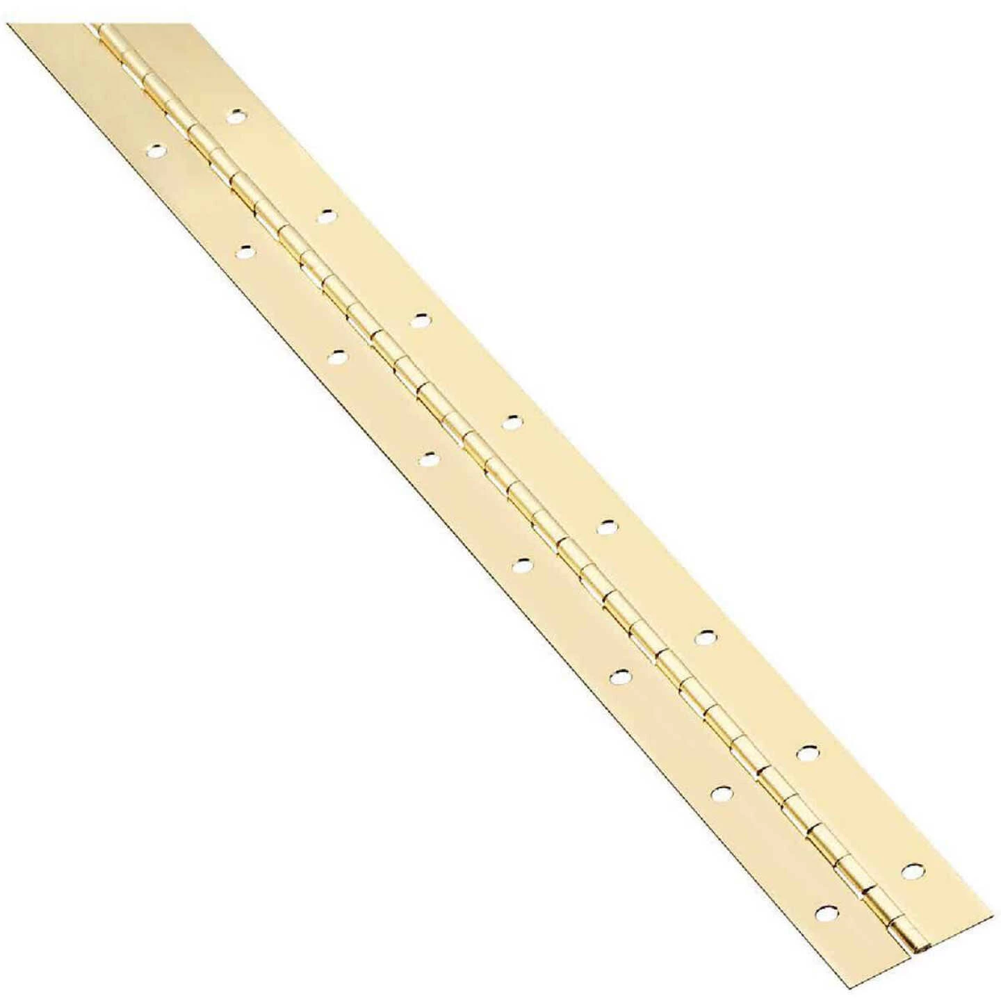 Flash Sale 👏 National Steel 1-1/2 In. X 48 In. Bright Brass Continuous Hinge ✨ 3 Flash Sale 👏 National Steel 1-1/2 In. X 48 In. Bright Brass Continuous Hinge ✨